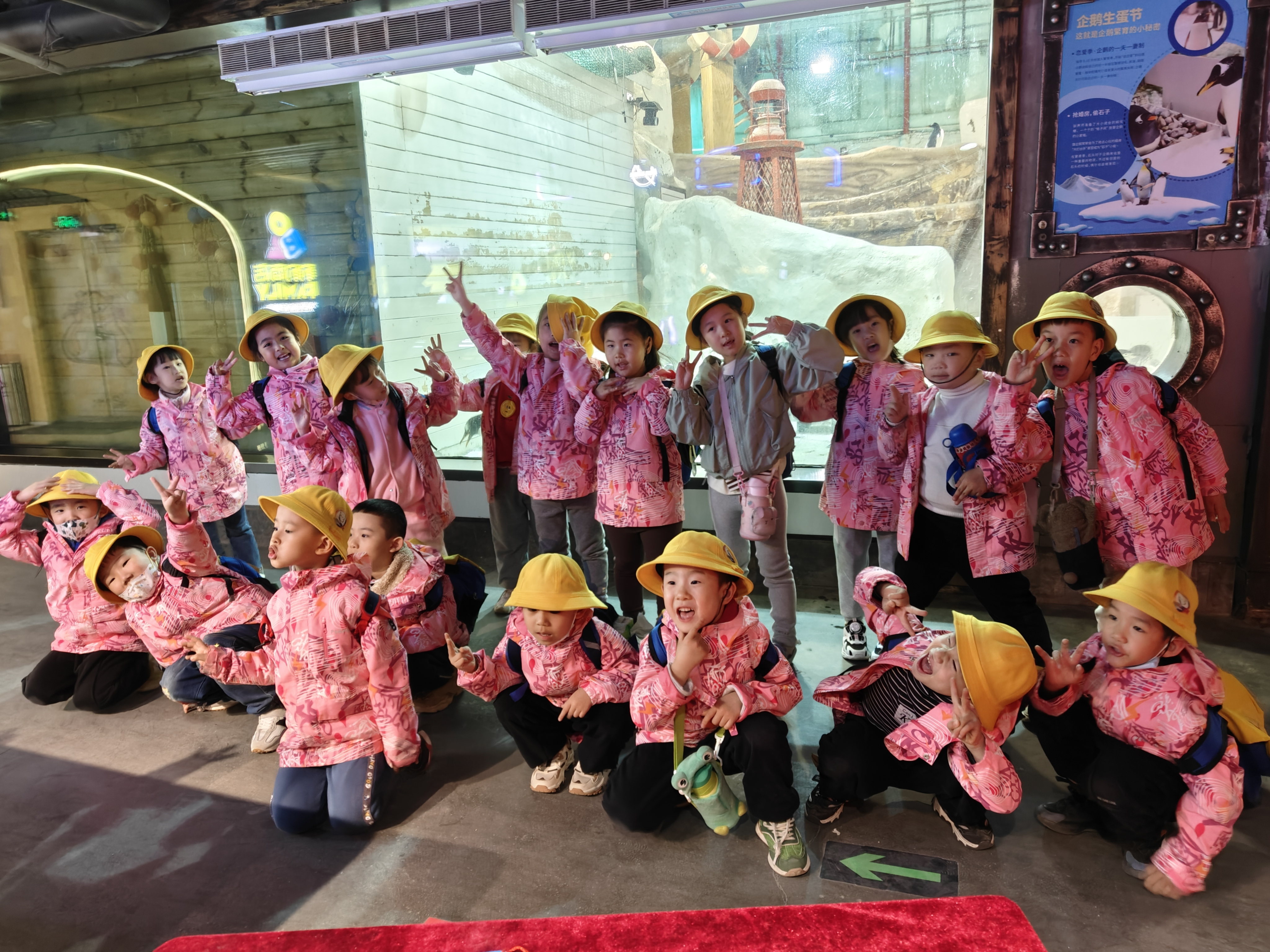 "姚璟逸春游记:趣探海洋馆,揭秘生物奥秘,共筑科学启蒙之旅"