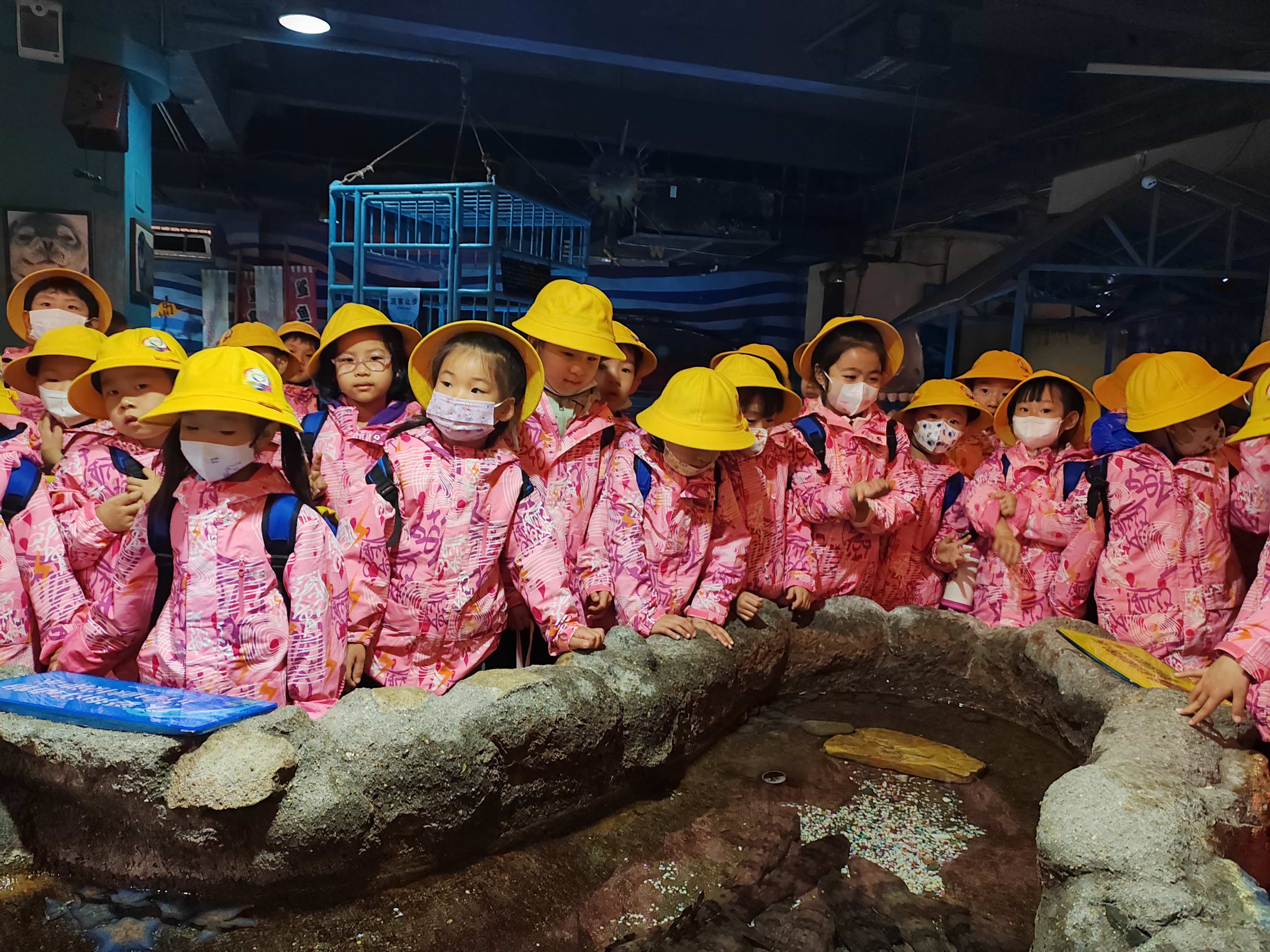 "姚璟逸春游记:趣探海洋馆,揭秘生物奥秘,共筑科学启蒙之旅"