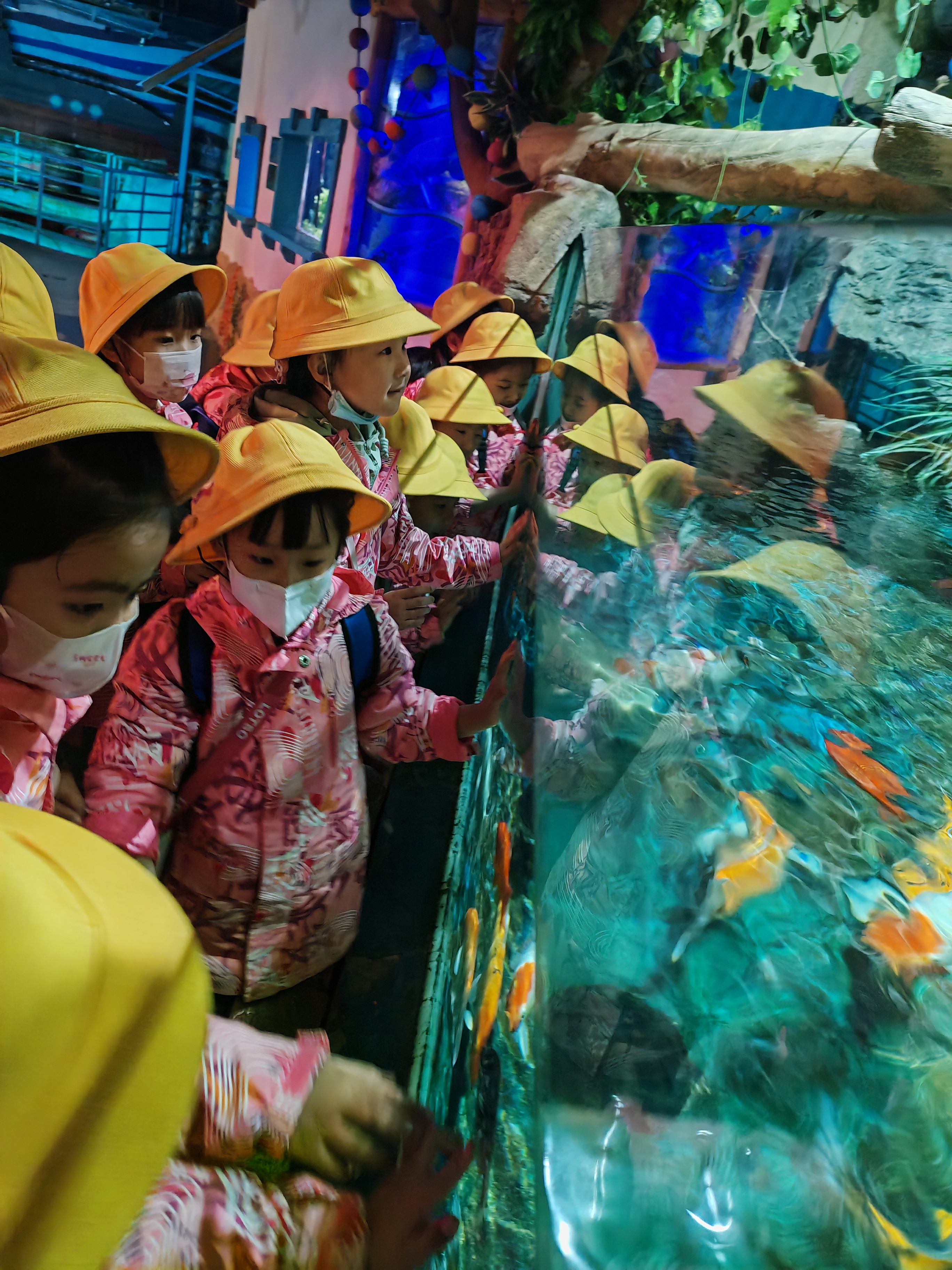 "姚璟逸春游记:趣探海洋馆,揭秘生物奥秘,共筑科学启蒙之旅"