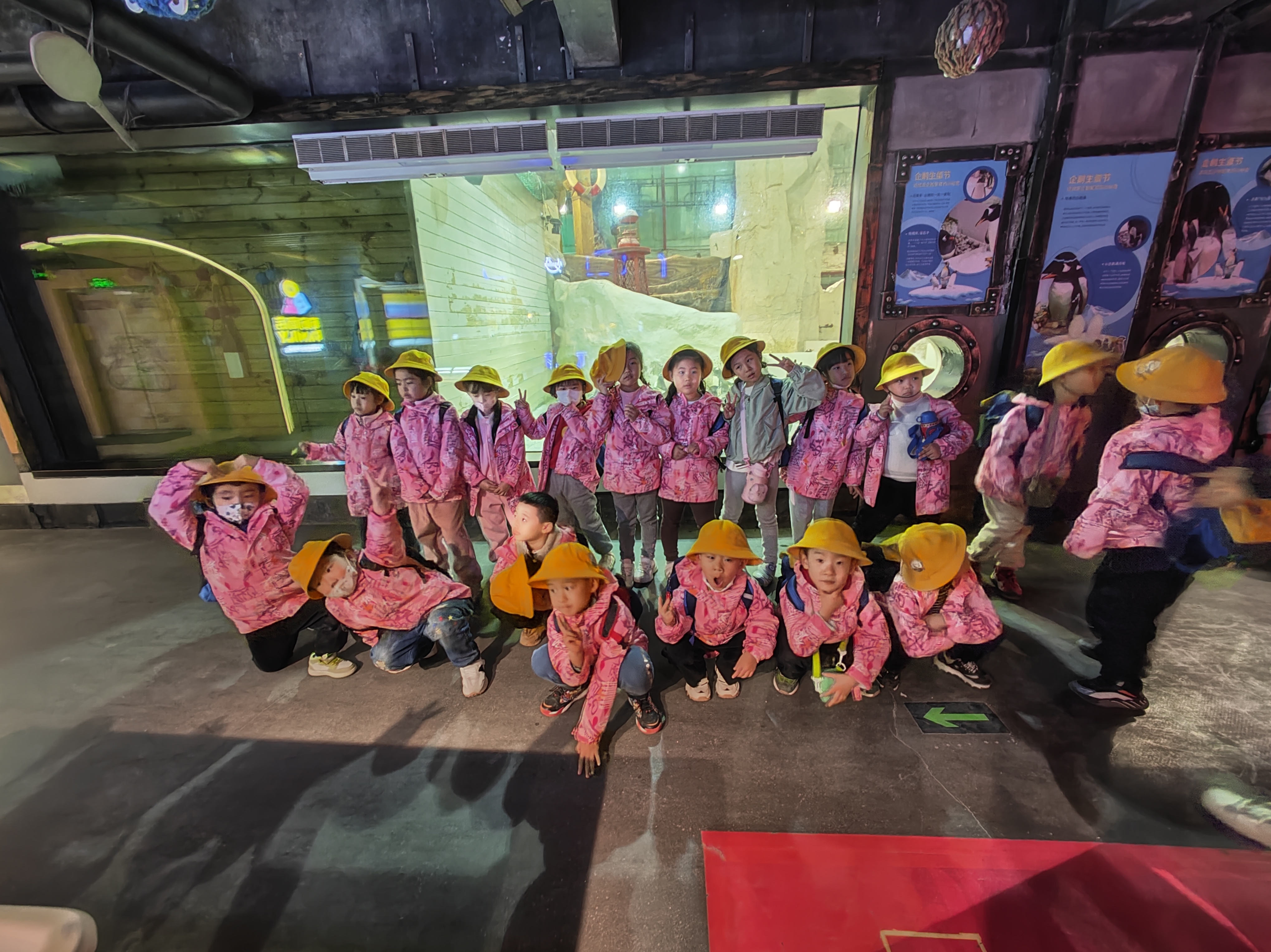 "姚璟逸春游记:趣探海洋馆,揭秘生物奥秘,共筑科学启蒙之旅"