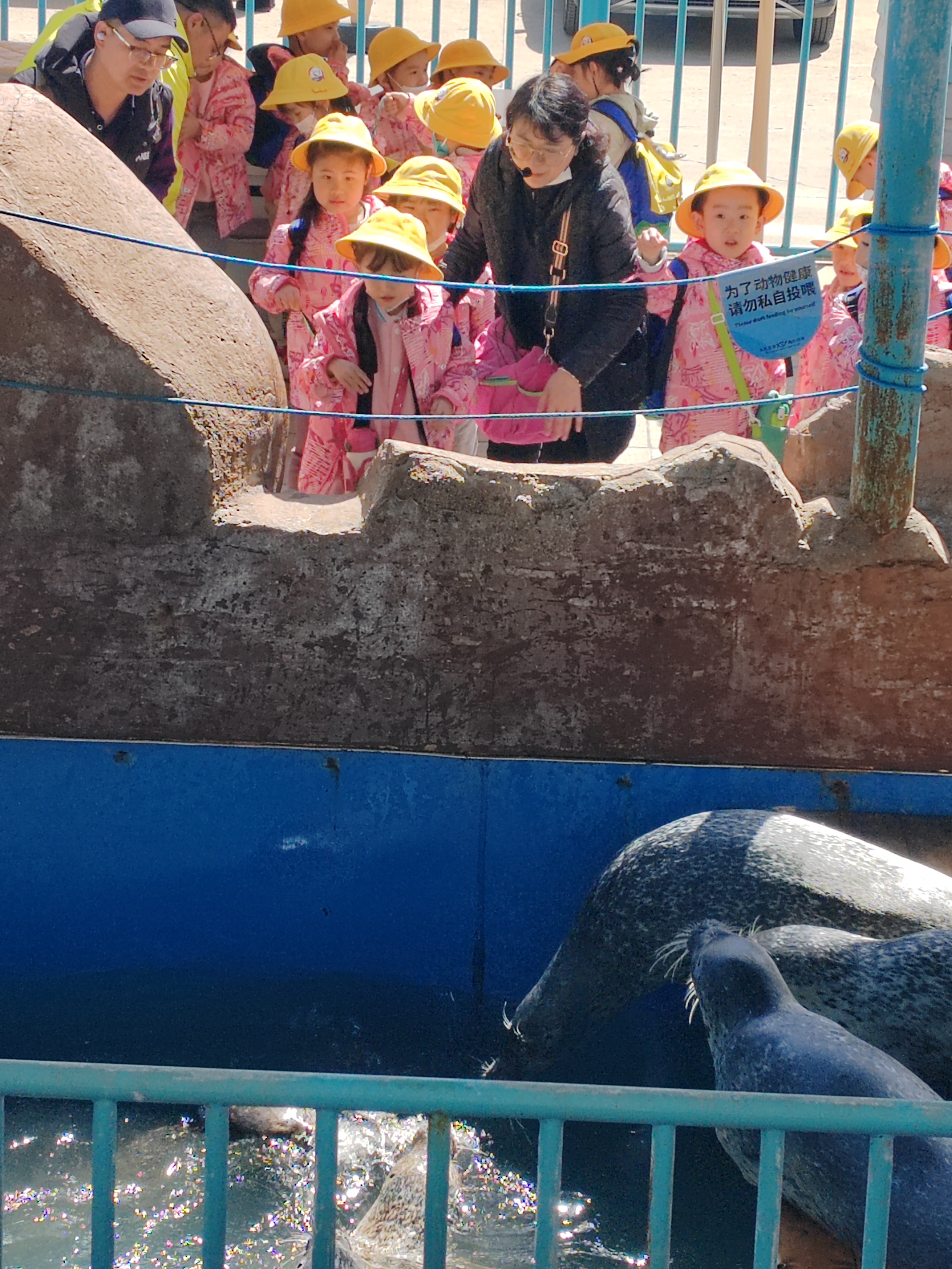 "姚璟逸春游记:趣探海洋馆,揭秘生物奥秘,共筑科学启蒙之旅"