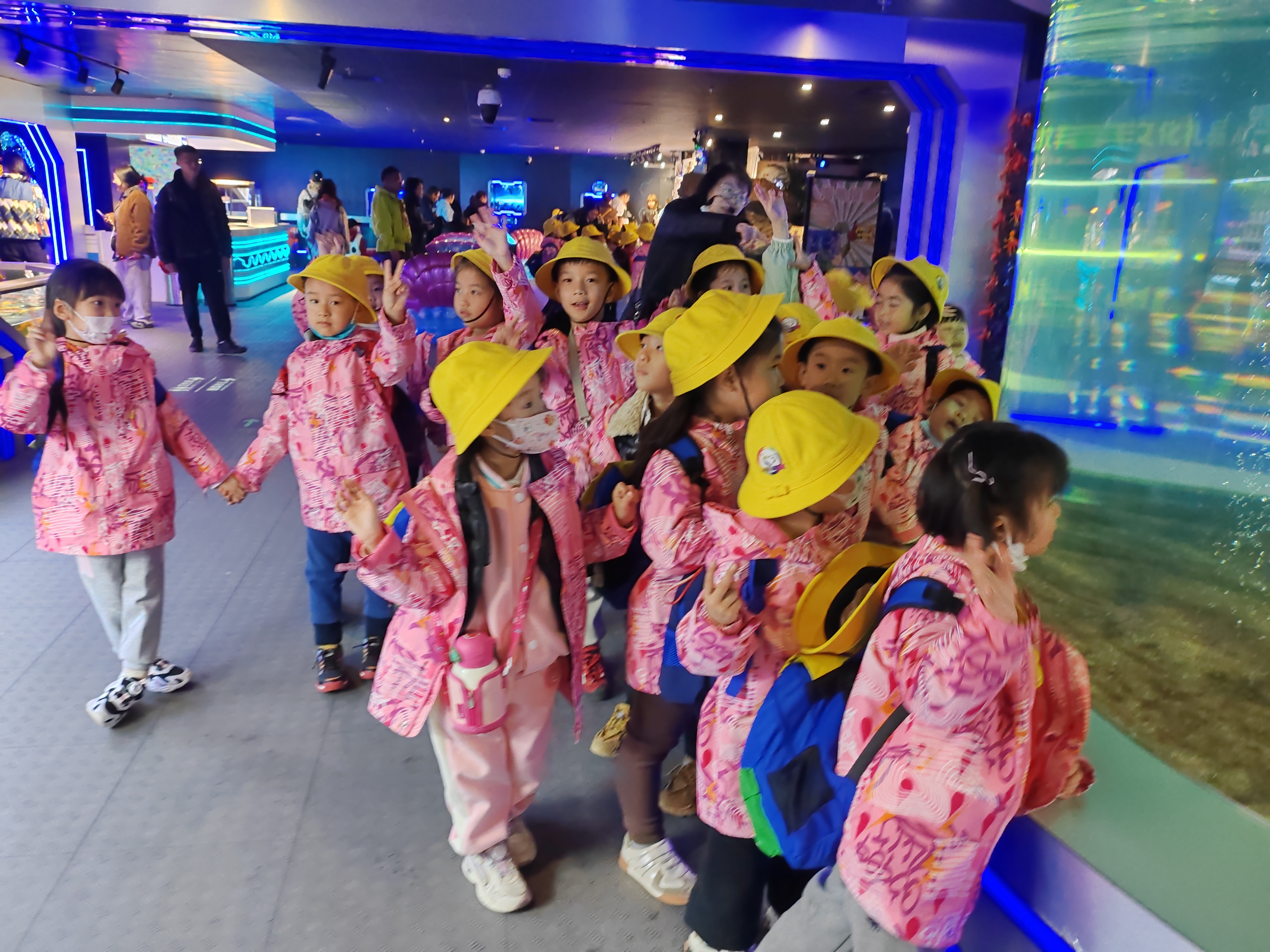 "姚璟逸春游记:趣探海洋馆,揭秘生物奥秘,共筑科学启蒙之旅"