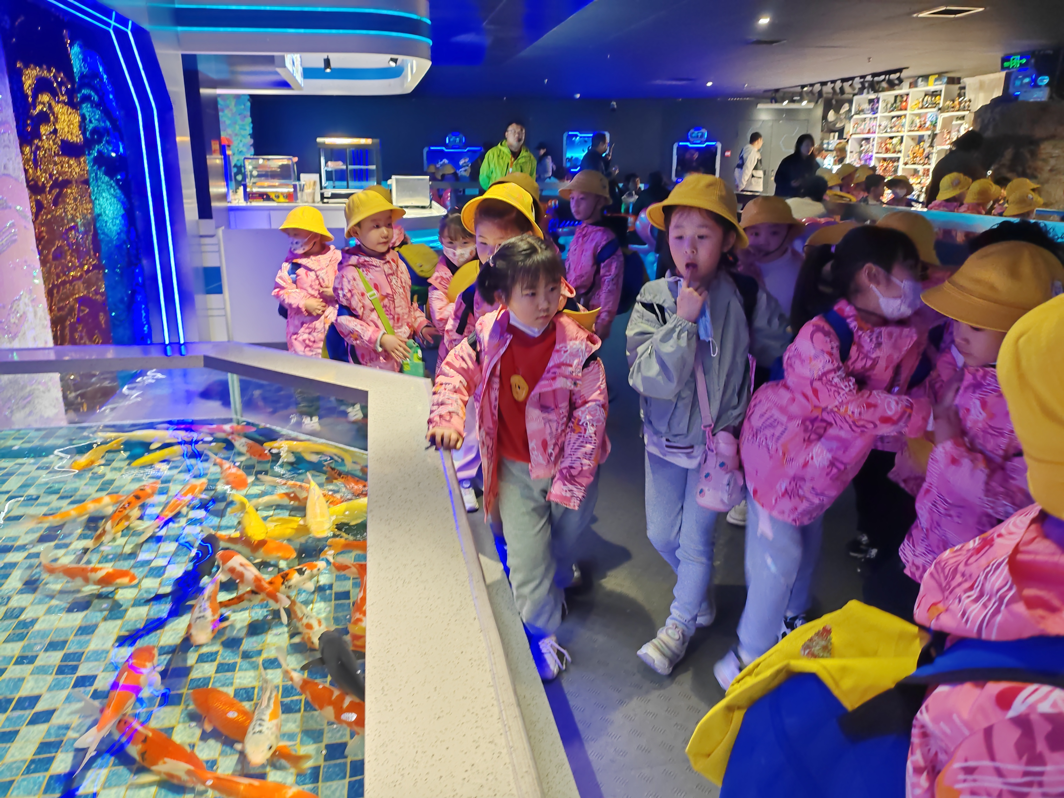 "姚璟逸春游记:趣探海洋馆,揭秘生物奥秘,共筑科学启蒙之旅"
